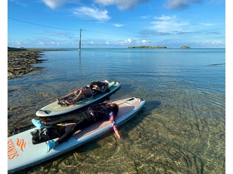 【海亀90％遭遇】無人島SUP＋シュノーケル《写真付き》の紹介画像