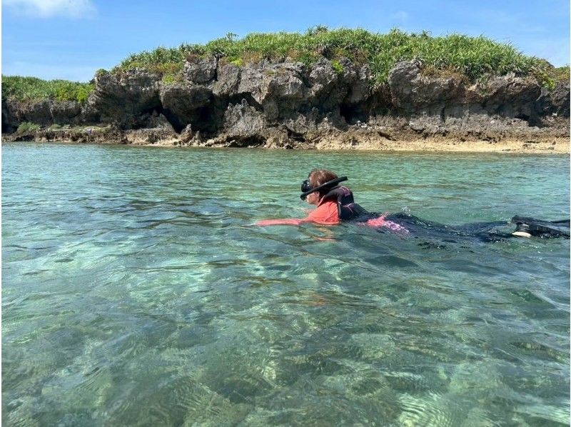 【海亀90％遭遇】無人島SUP＋シュノーケル《写真付き》の紹介画像