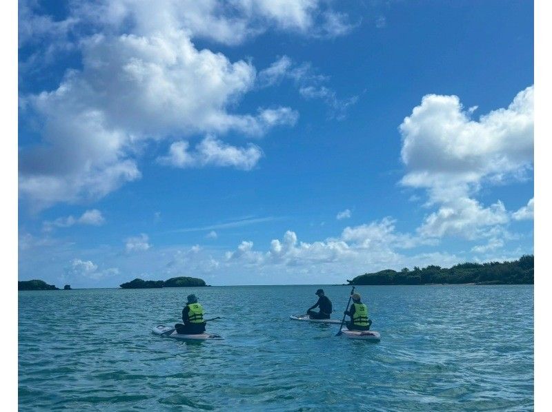 【海亀90％遭遇】無人島SUP＋シュノーケル《写真付き》の紹介画像
