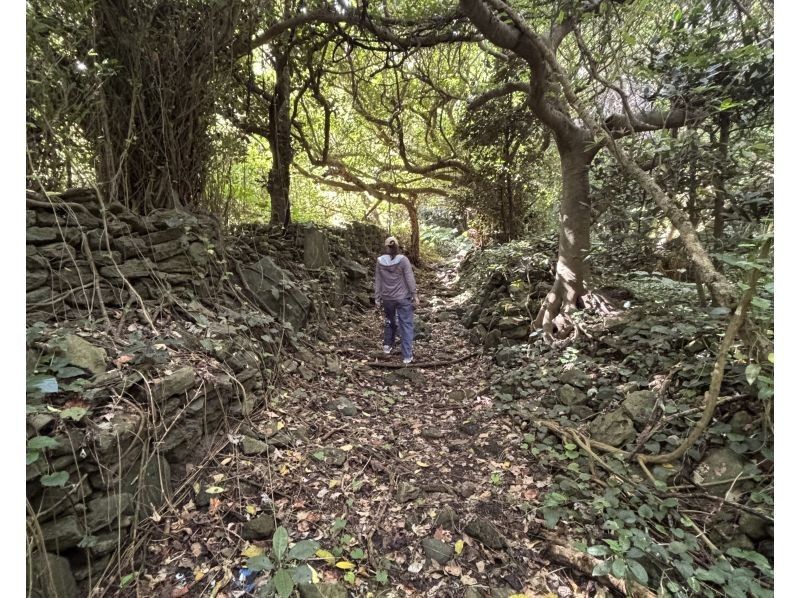 【秘境探検】旧下阿嘉集落＆神秘の滝トレッキング《ガイド同行》の紹介画像