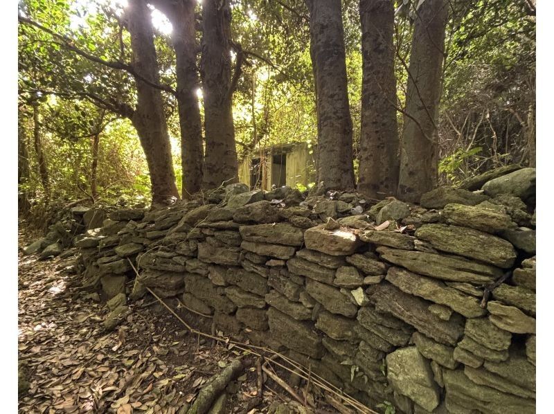 【秘境探検】旧下阿嘉集落＆神秘の滝トレッキング《ガイド同行》の紹介画像