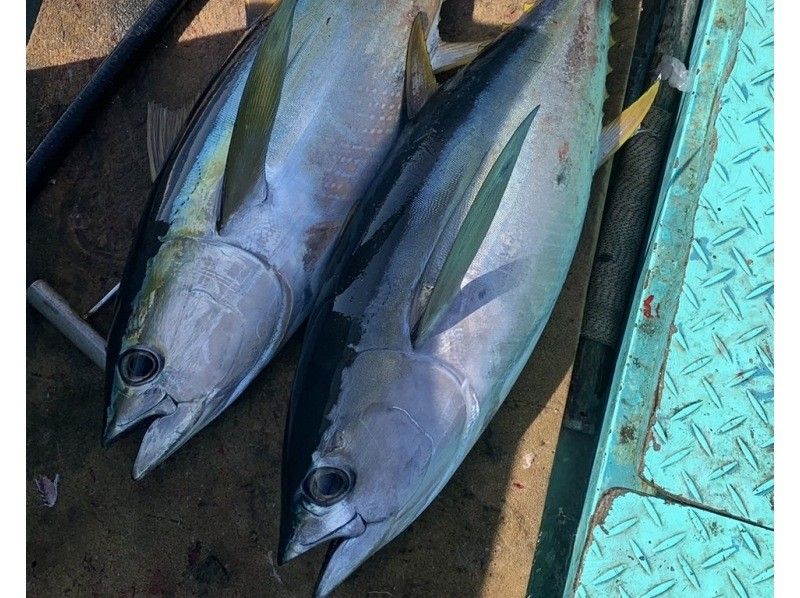 【貸切】家族・グループ向けフィッシング4時間《釣れた魚を食べられる》の紹介画像