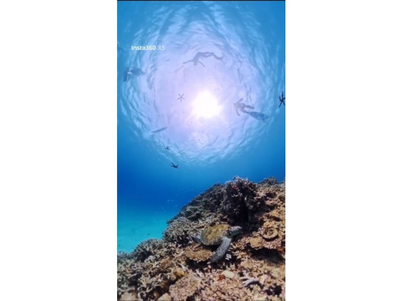 【沖縄・ゴリラチョップ】スキンダイビング　♡写真・動画・沢山無料プレゼント♪　の紹介画像