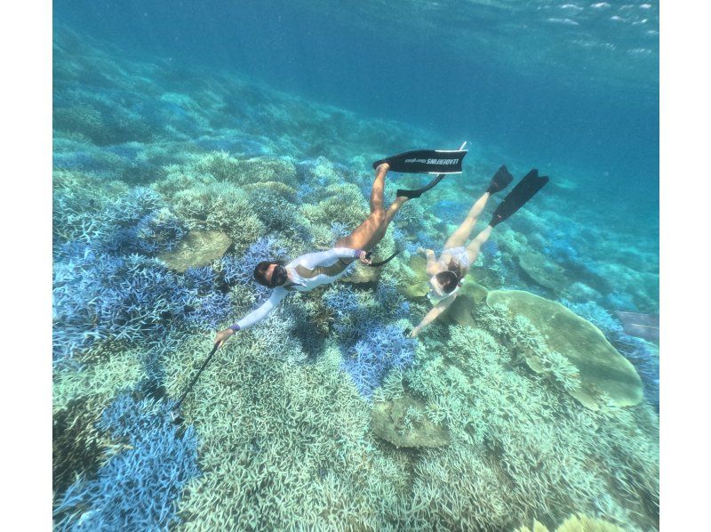 【沖縄・ゴリラチョップ】スキンダイビング　♡写真・動画・沢山無料プレゼント♪　の紹介画像