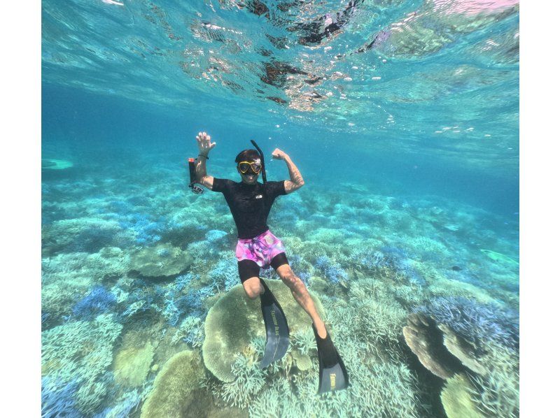 【沖縄・ゴリラチョップ】スキンダイビング　♡写真・動画・沢山無料プレゼント♪　の紹介画像