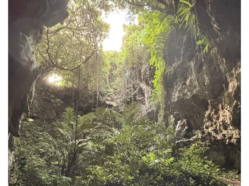 【冬割】釣って・食べて・巡る！SUNRISE 1日フィッシングの紹介画像