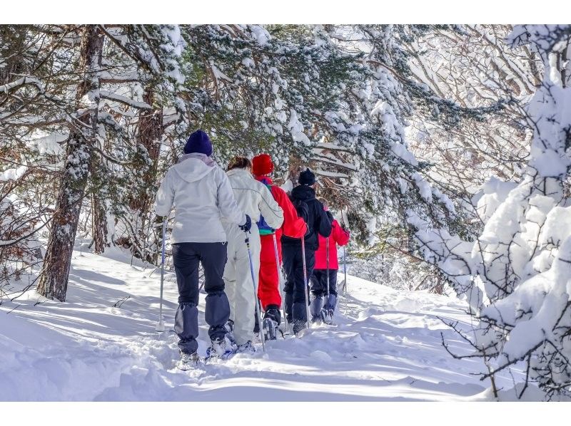 【若狭・熊川】冬の湖畔でスノーシュー体験《カップラーメン付き・手ぶらOK》の紹介画像