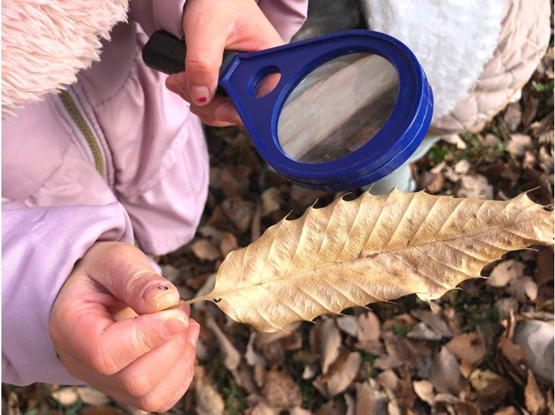 【宇都宮・ファミリー向け】「里山野あそび隊」道の駅で月替わり自然体験ミニツアー♪生き物大好きなチビッコ集まれ！の紹介画像