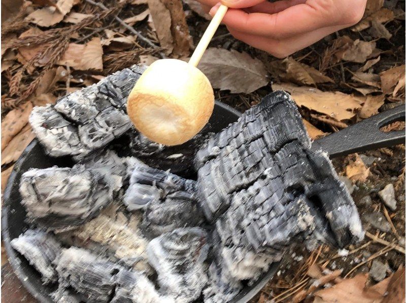 【宇都宮・ファミリー向け】「里山野あそび隊」道の駅で月替わり自然体験ミニツアー♪生き物大好きなチビッコ集まれ！の紹介画像