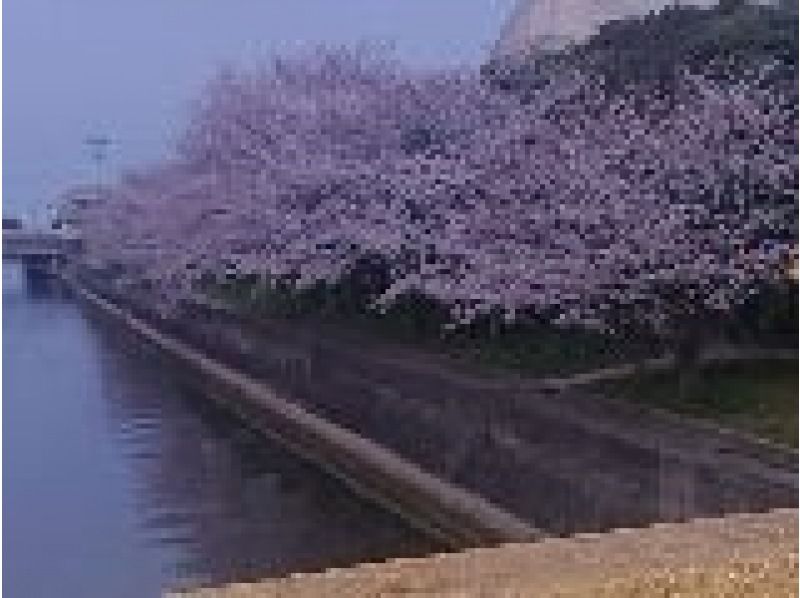 【淡路島】 早朝SUP＆朝食付きツアー！丁寧なレクチャーで初心者も安心♪レンタル&シャワー無料、写真無料、カップルやご家族にも人気！の紹介画像