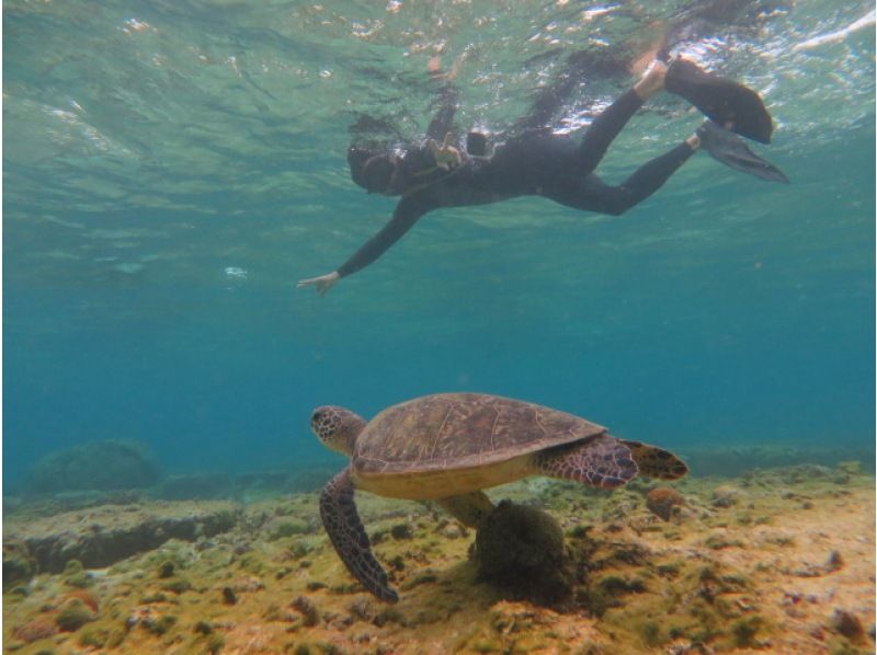 【沖縄・ジョン万ビーチ】&ldquo;冬季限定&rdquo;ガイド完全貸切制☆ウミガメに会える？ビーチシュノーケル体験！高画質カメラの写真プレゼント！の紹介画像