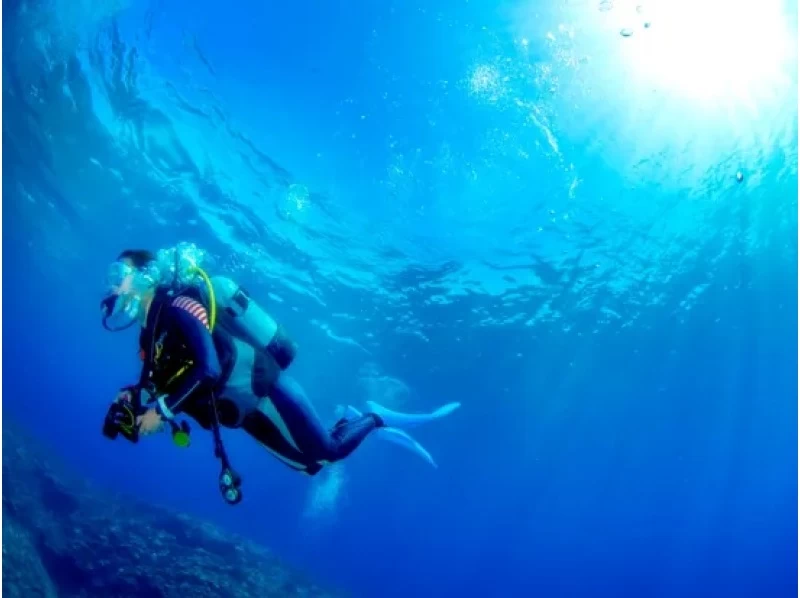 【鹿児島・奄美大島】1ツアー一組限定！！奄美の美しい海「倉崎海岸」で体験ダイビング！の紹介画像