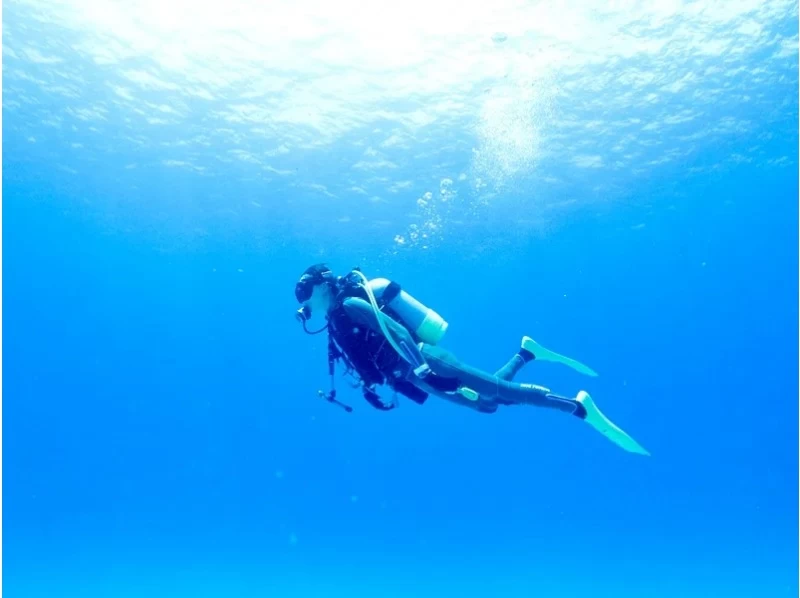 【鹿児島・奄美大島】1ツアー一組限定！！奄美の美しい海「倉崎海岸」で体験ダイビング！の紹介画像