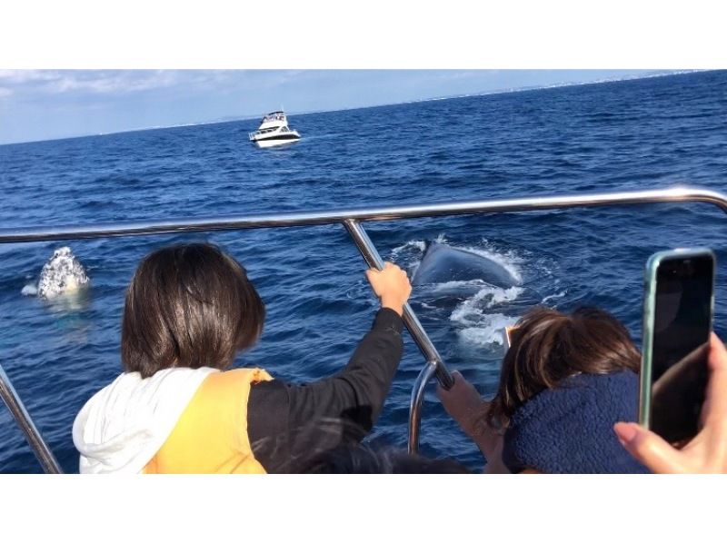 【완전 전세 &middot; 차탄 출발】 대형 크루저 전세로 간다! 고래 워칭 투어 ☆ 10 명 이상의 예약이 매우 유익 ☆の紹介画像