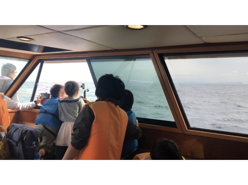 【沖縄・北谷発・半日】プライベートホエールウォッチングツアー｜大型クルーザーで広々！20名まで乗船可 ☆社員旅行・卒業旅行に最適☆の紹介画像