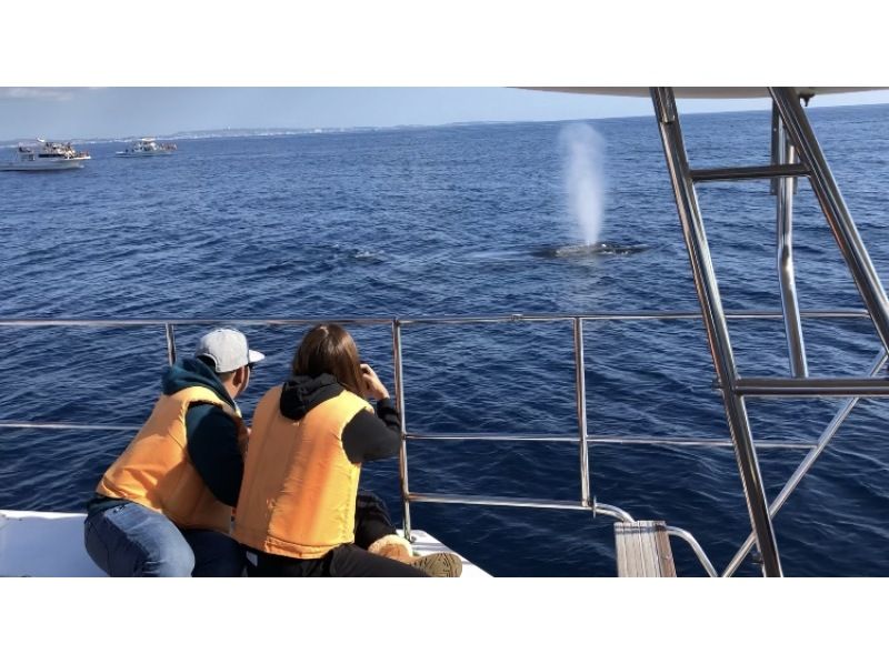 【完全貸切】北谷発 大型クルーザーで行く！ホエールウォッチングツアー ☆団体旅行・社員旅行・卒業旅行におすすめ☆の紹介画像
