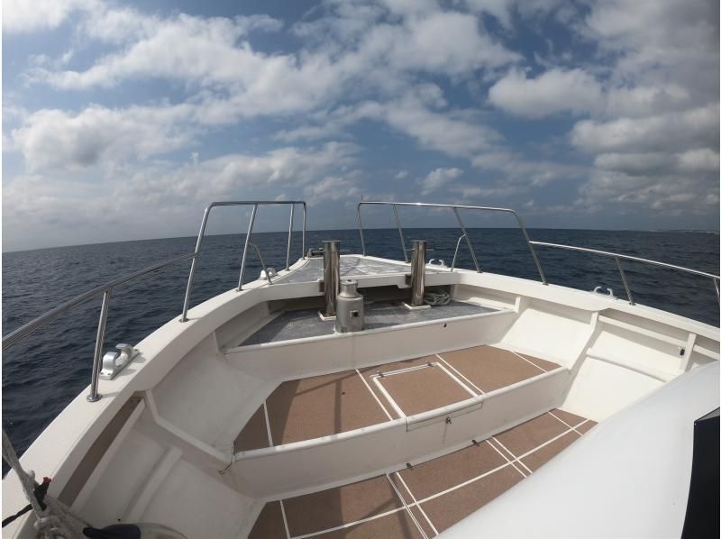 【완전 전세 &middot; 차탄 출발】 대형 크루저 전세로 간다! 고래 워칭 투어 ☆ 10 명 이상의 예약이 매우 유익 ☆の紹介画像