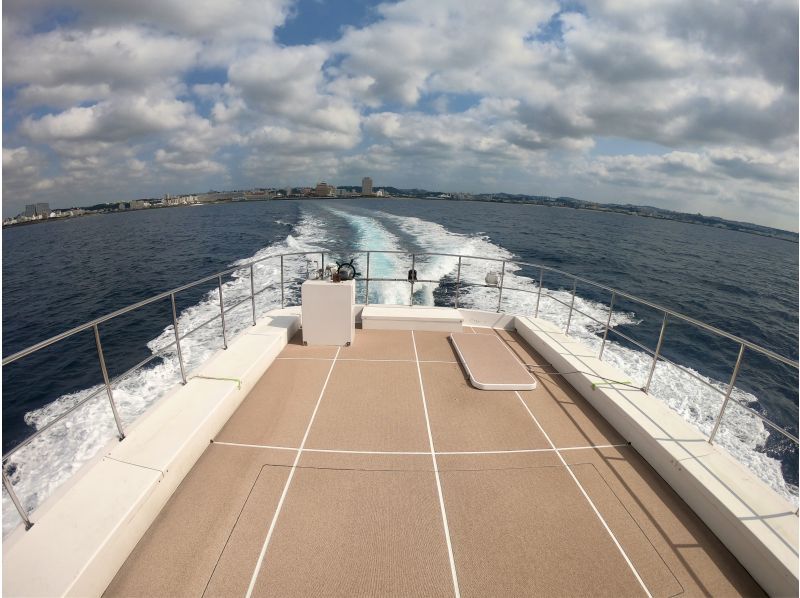 【완전 전세 &middot; 차탄 출발】 대형 크루저 전세로 간다! 고래 워칭 투어 ☆ 10 명 이상의 예약이 매우 유익 ☆の紹介画像