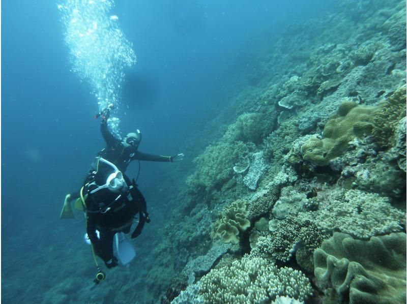 【シャワー・更衣室・器材＆バスタオル付・送迎有】一組貸し切りお手軽北谷2ボートダイビングの紹介画像