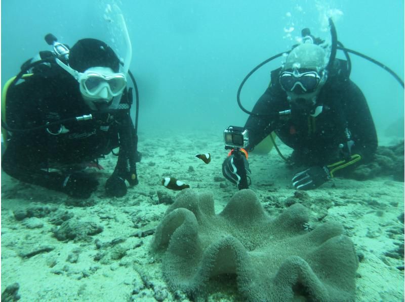 【シャワー・更衣室・器材＆バスタオル付・送迎有】一組貸し切りお手軽北谷2ボートダイビングの紹介画像