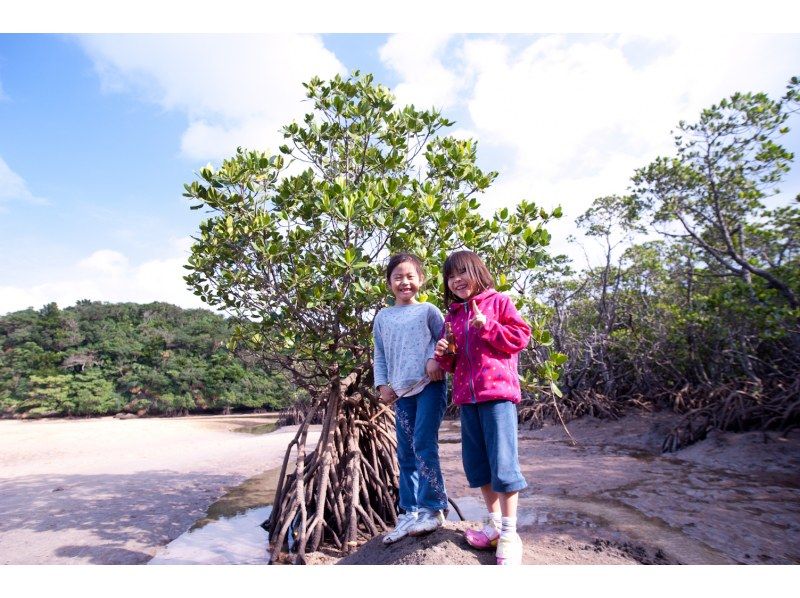 [Okinawa, Ishigaki Island] Recommended for the winter season! Mangrove walk and wildlife huntingの紹介画像