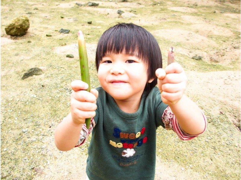 [Okinawa, Ishigaki Island] Recommended for the winter season! Mangrove walk and wildlife huntingの紹介画像
