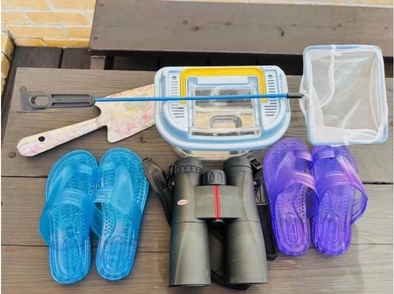 【沖縄・石垣島】冬季シーズンお勧め！マングローブウォーク＆生き物探しの紹介画像