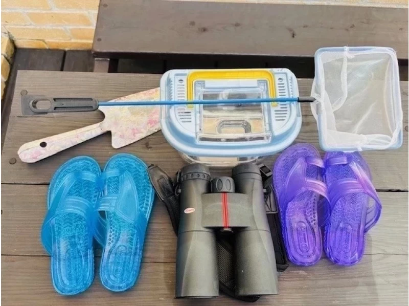 [Okinawa, Ishigaki Island] Recommended for the winter season! Mangrove walk and wildlife huntingの紹介画像