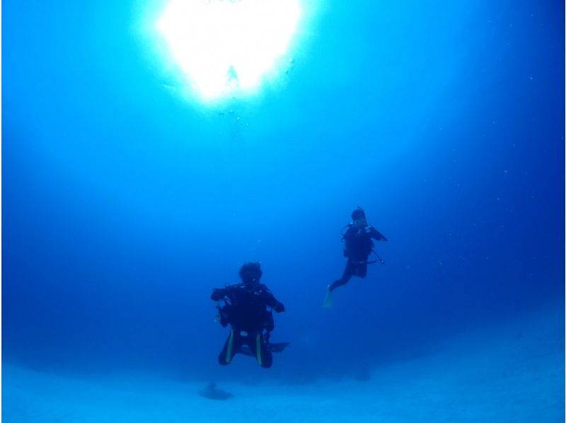 SALE!【沖縄・石垣島】FUNダイビング・マンタ・カメ・ニモ！器材無料キャンペーン中！お一人様・団体様大歓迎！の紹介画像