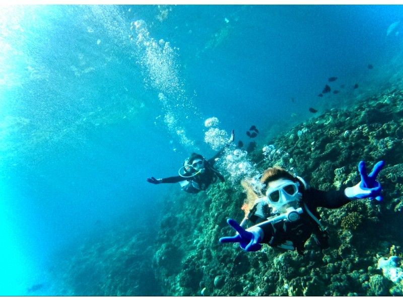 【漕ぐ・潜る。自分の好きを見つけよう】 貸切・青の洞窟ダイビング &times; 貝殻サンゴの浜シーカヤック 口コミと紹介で選ばれていますの紹介画像