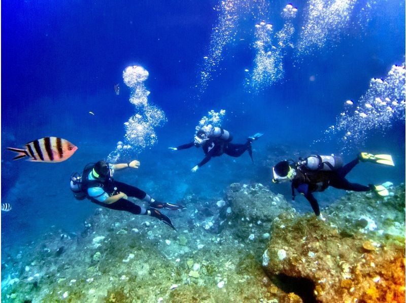 【漕ぐ・潜る。自分の好きを見つけよう】 貸切・青の洞窟ダイビング &times; 貝殻サンゴの浜シーカヤック 口コミと紹介で選ばれていますの紹介画像