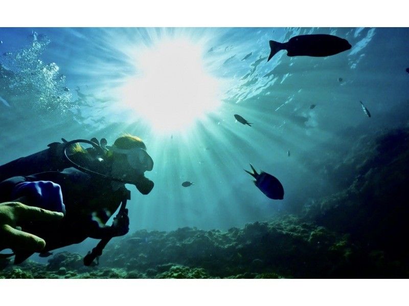 【漕ぐ・潜る。自分の好きを見つけよう】 貸切・青の洞窟ダイビング &times; 貝殻サンゴの浜シーカヤック 口コミと紹介で選ばれていますの紹介画像