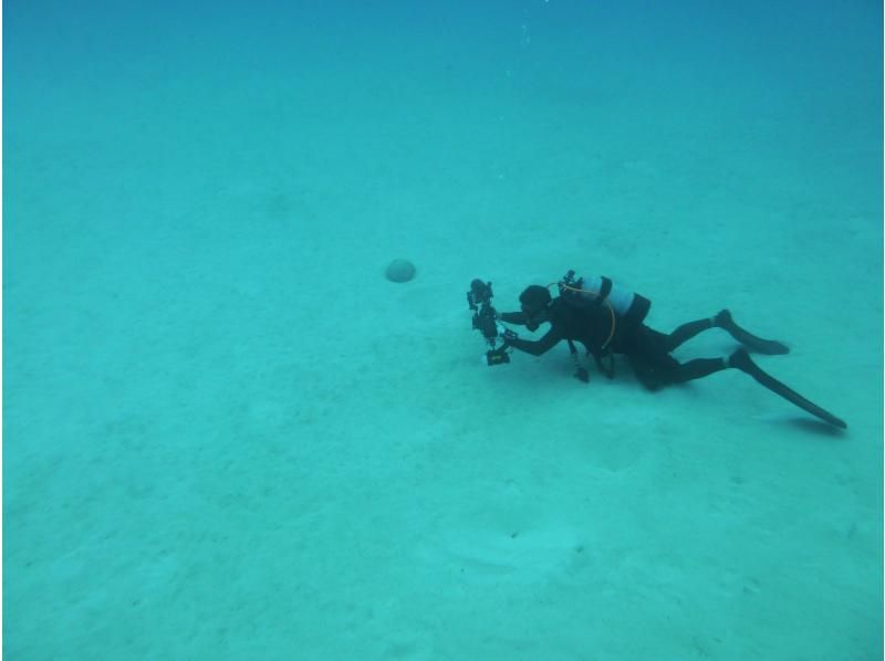 【シャワー・更衣室・器材＆バスタオル付・送迎有】一組貸し切りお手軽糸満・豊見城2ボートダイビングの紹介画像
