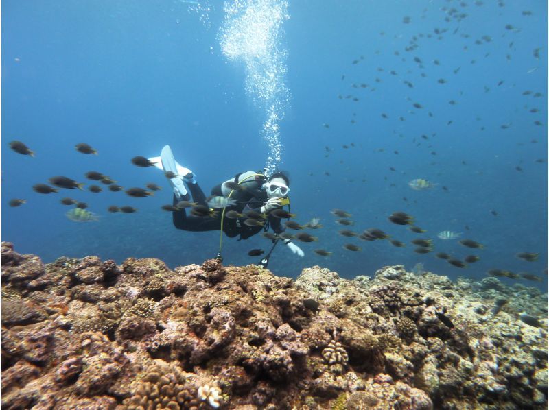 【シャワー・更衣室・器材＆バスタオル付・送迎有】一組貸し切りお手軽糸満・豊見城2ボートダイビングの紹介画像