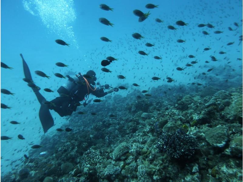 【シャワー・更衣室・器材＆バスタオル付・送迎有】一組貸し切りお手軽糸満・豊見城2ボートダイビングの紹介画像