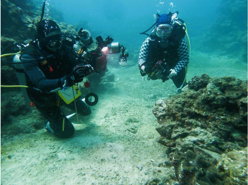 【シャワー・更衣室・器材＆バスタオル付・送迎有】一組貸切お手軽糸満・豊見城2ボートダイビング　～空港到着後、レンタカーを借りてすぐ潜れます～の紹介画像