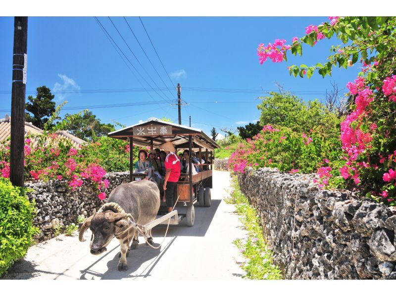 【マリン体験＋竹富観光】幻の島上陸＋体験ダイビング＋竹富島で水牛車観光＜約9時間／昼食付／M-5＞の紹介画像