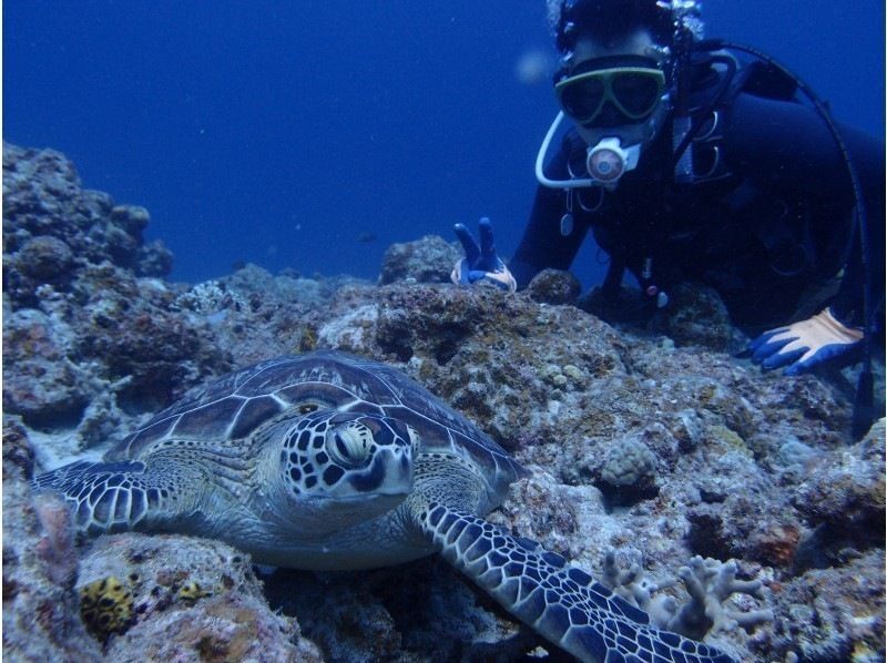 【沖縄・石垣島】６５歳以上高齢者　４，５h ＡＭ体験ダイビングの紹介画像