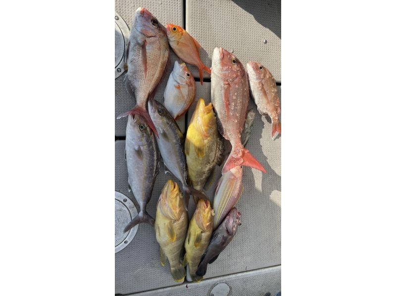 高知县：垂钓住宿套餐！宿云箱式家庭船钓计划！包含住宿，无需自带装备！包含免费租赁の紹介画像