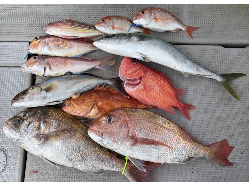 高知县：垂钓住宿套餐！宿云箱式家庭船钓计划！包含住宿，无需自带装备！包含免费租赁の紹介画像