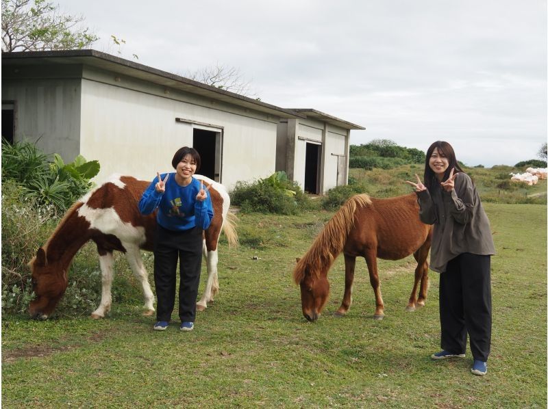 【沖縄・石垣島/北部】平久保半島！！絶景エコロードバギーツアー！！の紹介画像