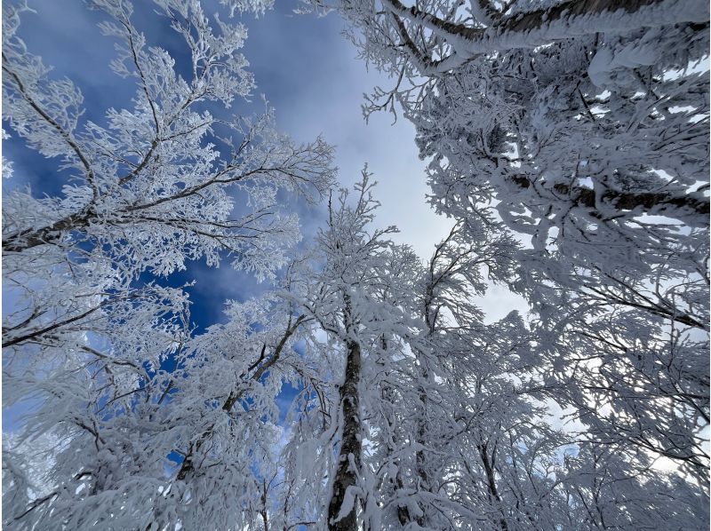 【洞爺・壮瞥・２時間】空と雪景色が出会う、天空のオロフレスノーシュー体験！小学生から参加可能・初心者大歓迎・写真データは無料プレゼント付♪の紹介画像