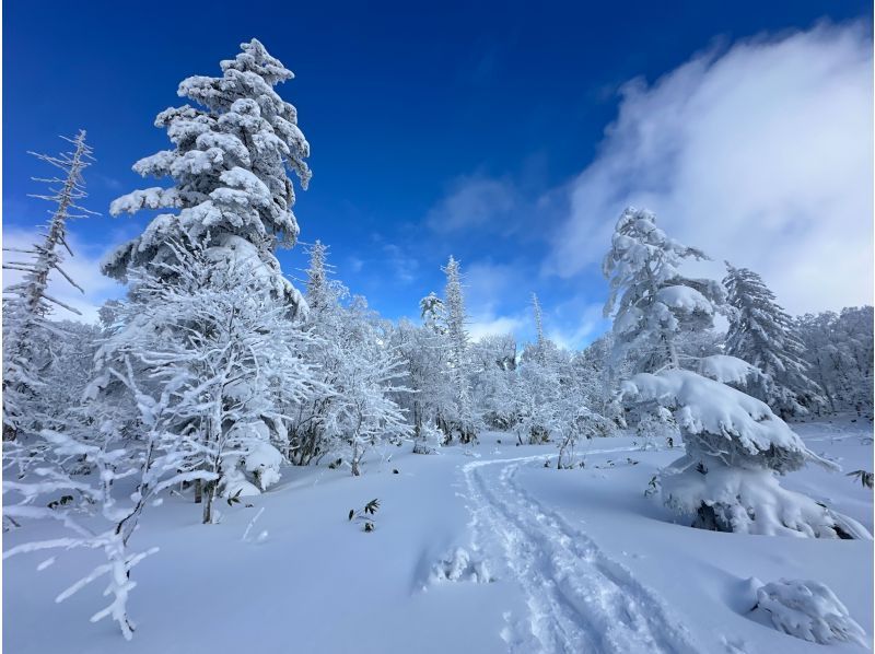 【洞爺・壮瞥・２時間】空と雪景色が出会う、天空のオロフレスノーシュー体験！小学生から参加可能・初心者大歓迎・写真データは無料プレゼント付♪の紹介画像