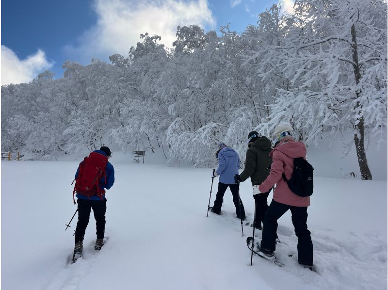 【洞爺・壮瞥・２時間】空と雪景色が出会う、天空のオロフレスノーシュー体験！小学生から参加可能・初心者大歓迎・写真データは無料プレゼント付♪の紹介画像