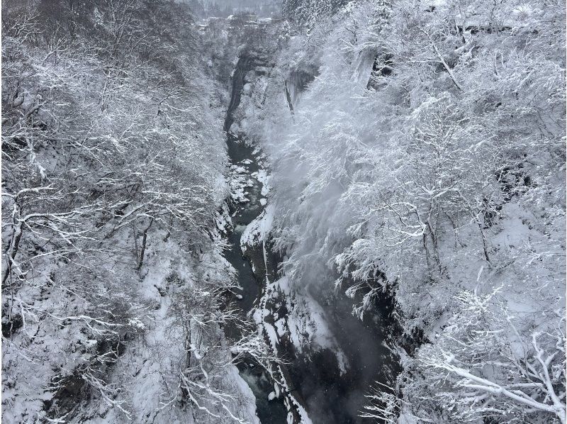 【秋田・湯沢】銀世界の渓谷「小安峡大噴湯」と日帰り温泉ツアー（秋田犬とのふれあい付き！）in 犬っこまつり2日目限定の紹介画像