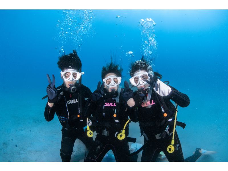 学割！【沖縄北部・水納島・瀬底島 】ボート体験ダイビング2ダイブ 初心者大歓迎！写真・動画無料プレゼント！の紹介画像