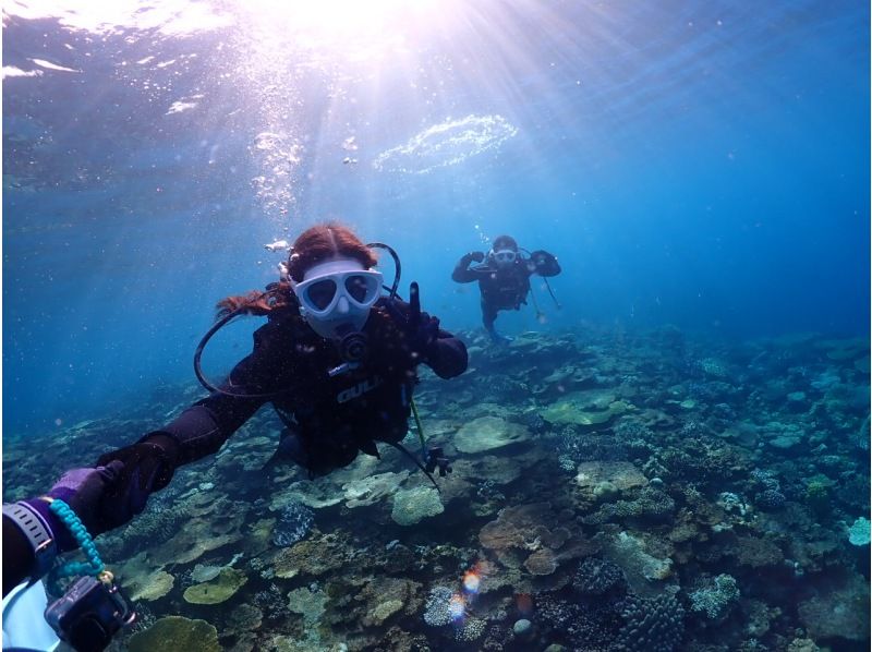 学割！【沖縄北部・水納島・瀬底島 】ボート体験ダイビング2ダイブ 初心者大歓迎！写真・動画無料プレゼント！の紹介画像