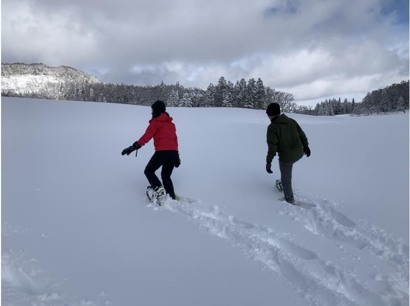 Nagano Iiyama: Snowshoe Hike on a Snow Lake(Station pickup to Madarao)の紹介画像