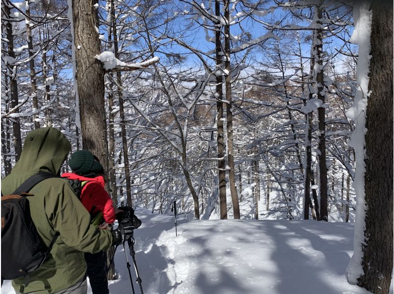 Nagano Iiyama: Snowshoe Hike on a Snow Lake(Station pickup to Madarao)の紹介画像