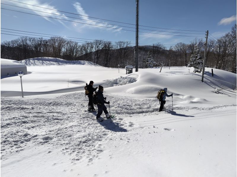 Nagano Iiyama: Snowshoe Hike on a Snow Lake(Station pickup to Madarao)の紹介画像